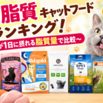 高脂質キャットフードランキング（修正版）