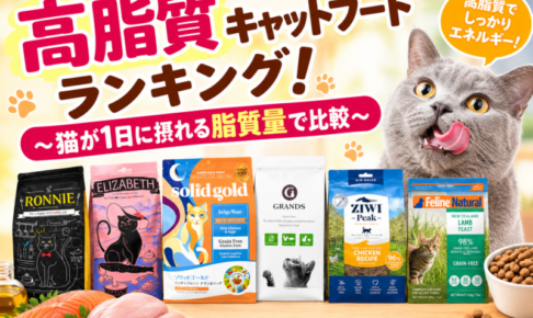 高脂質キャットフードランキング（修正版）