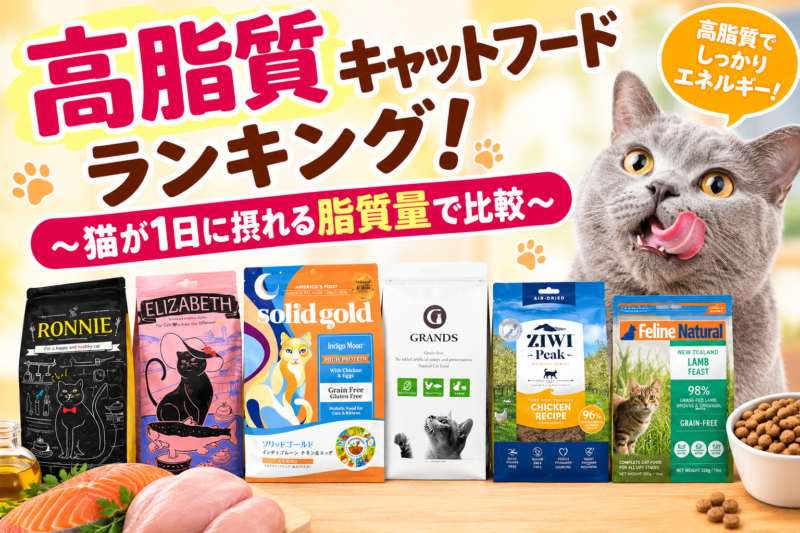 高脂質キャットフードランキング（修正版）