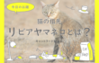 リビアヤマネコ　猫　祖先